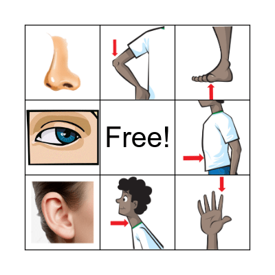 Body Parts Bingo Card