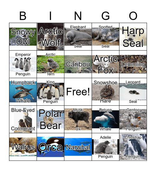 Arctic Animals Bingo Card