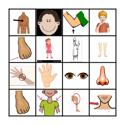 BODY PARTS  1 Bingo Card