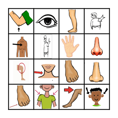 BODY PARTS  1 Bingo Card