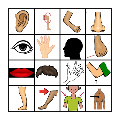 BODY PARTS  1 Bingo Card