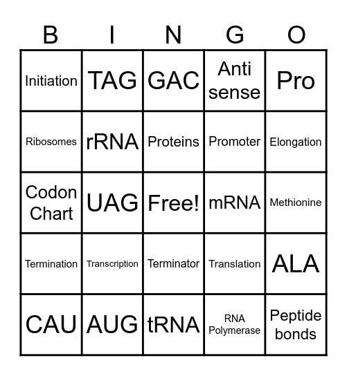 Trancription to Translation Bingo Card