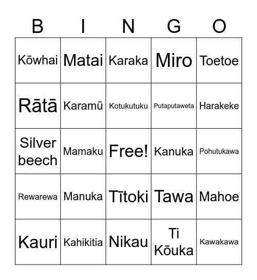 NZ NATIVES Bingo Card
