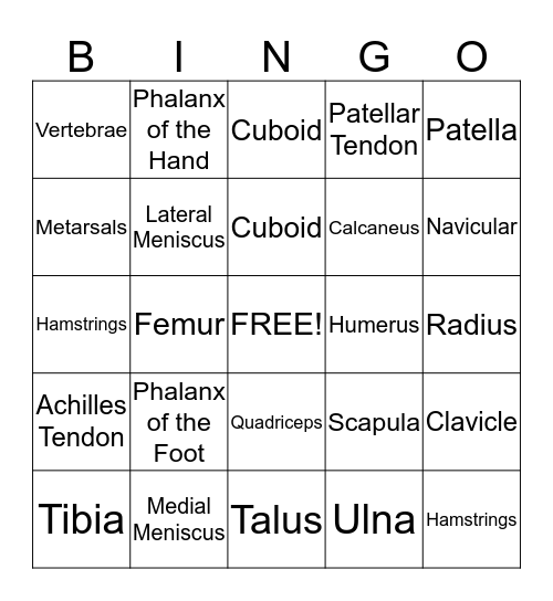 Anatomy Bingo Card