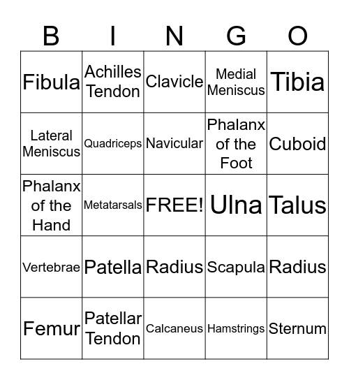Anatomy Bingo Card