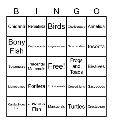Animal Phylum Bingo Card
