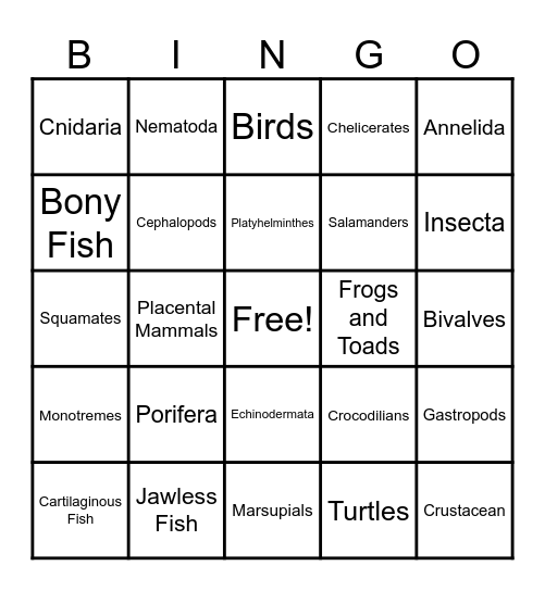 Animal Phylum Bingo Card