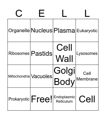 CELL Organelles Bingo Card