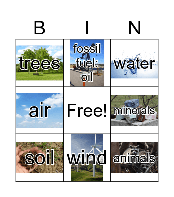Natural Resources  Bingo Card