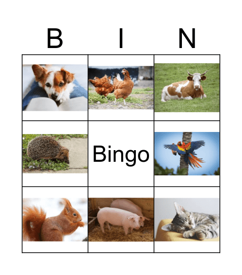 Bingo Von Julian Bingo Card