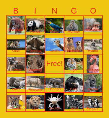 ZOO ANIMALS Bingo Card