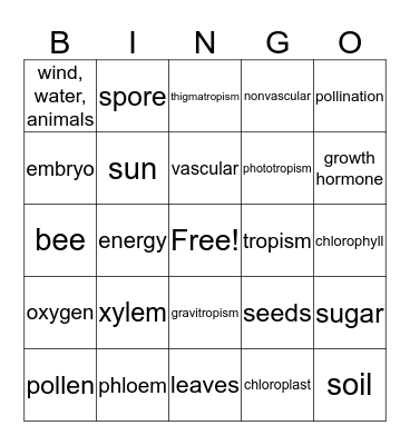 Photosynthesis Bingo Card