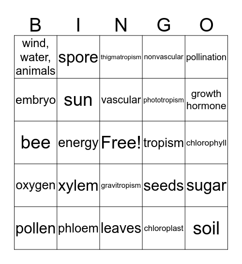 Photosynthesis Bingo Card