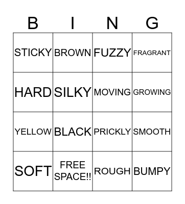 CREATION Bingo Card