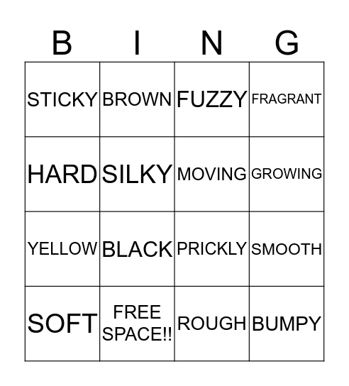 CREATION Bingo Card