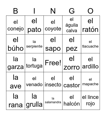 Spanish Bingo Card