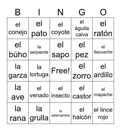 Spanish Bingo Card
