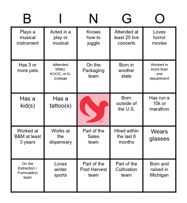 Icebreaker Bingo Card
