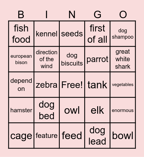 Bingo animal's stuff Bingo Card