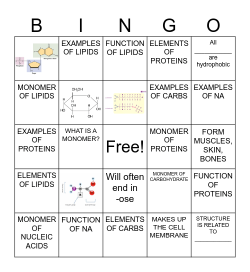 MACROMOLECULE BINGO NOTES Bingo Card