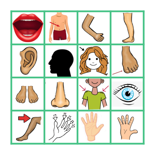 BODY PARTS Bingo Card