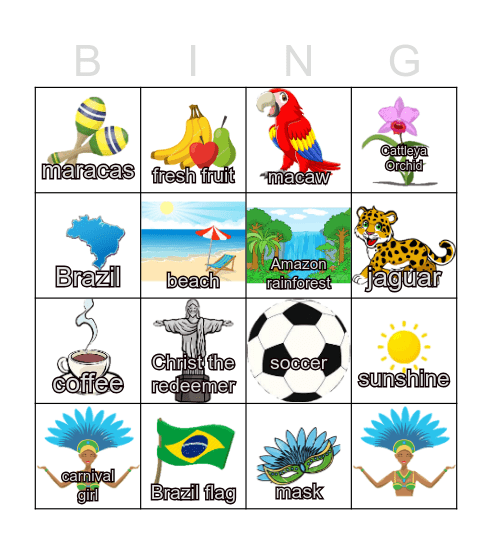 Brazil Bingo Card