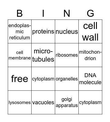 Parts of a Cell Bingo Card
