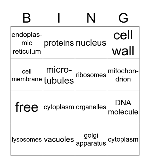 Parts of a Cell Bingo Card