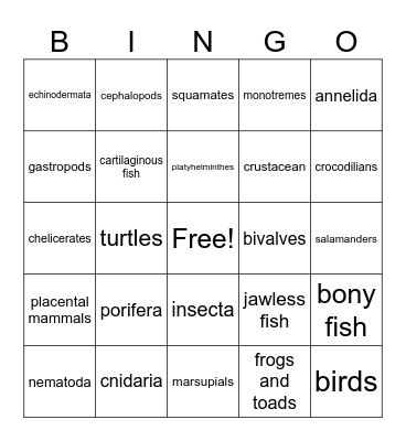 Animal Phylum Bingo Card