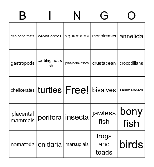 Animal Phylum Bingo Card