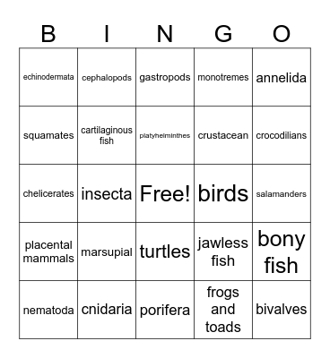 Animal Phylum Bingo Card
