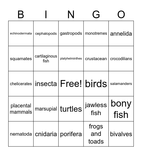 Animal Phylum Bingo Card