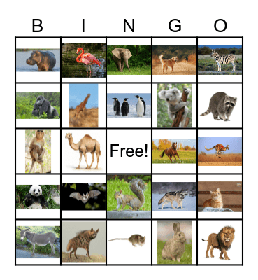 ANIMAL BINGO Card