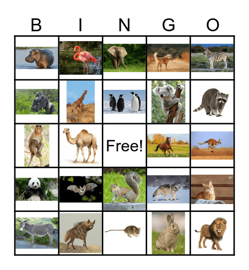 ANIMAL BINGO Card