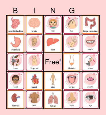 F9 Internal and Body Bingo Card