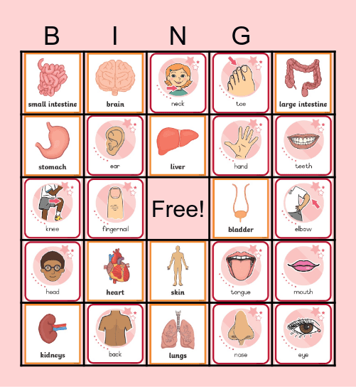F9 Internal and Body Bingo Card