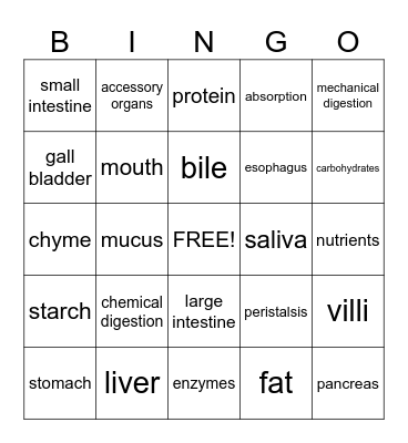Digestive System Bingo Card