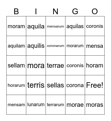 Declined 1st Declension Nouns Bingo Card