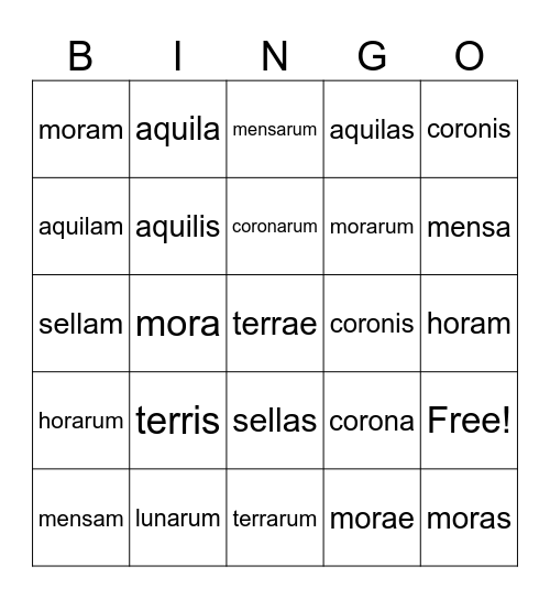 Declined 1st Declension Nouns Bingo Card