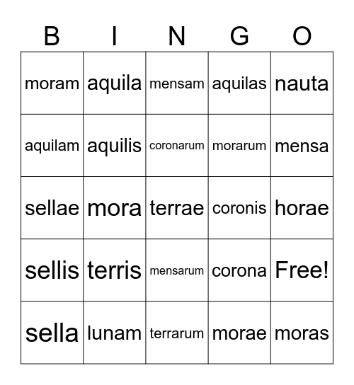 Declined 1st Declension Nouns Bingo Card