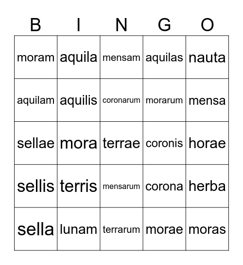 Declined 1st Declension Nouns Bingo Card