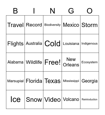 CNN 10 01/23/25 Bingo Card