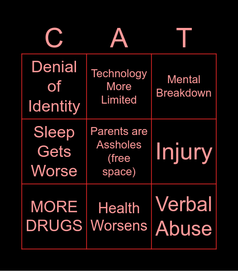 Cat's Life Worsens Bingo Card