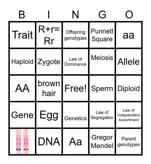Mendel Genetics Stack 2425 Bingo Card