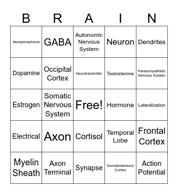 Biopsychology Bingo Card