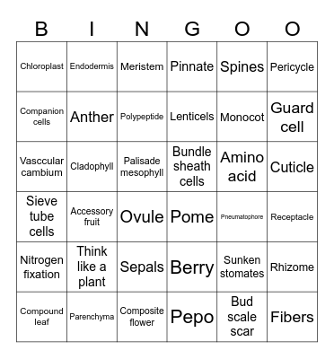Plant Anatomy Bingo Card