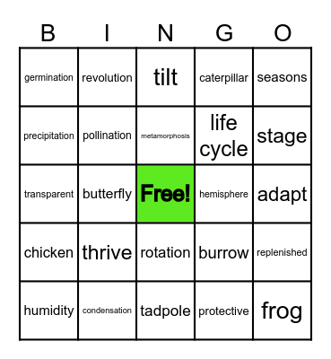 Cycles in Nature Bingo Card