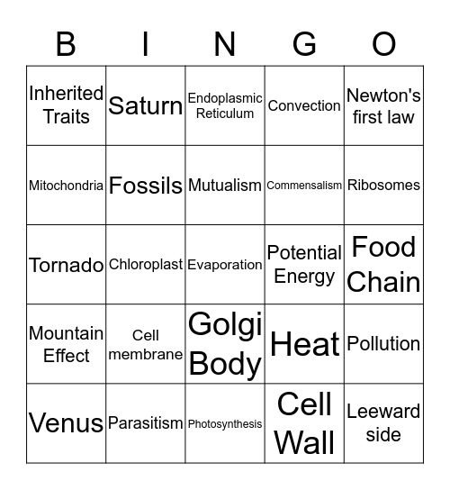 TCAP Review Bingo Card