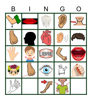 Body Parts Bingo Card