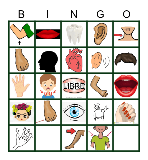 Body Parts Bingo Card